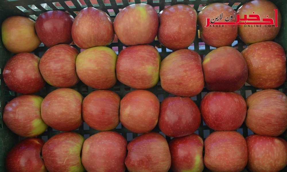 سوسة: حجز تفاح مهرب بقيمة 90 مليون