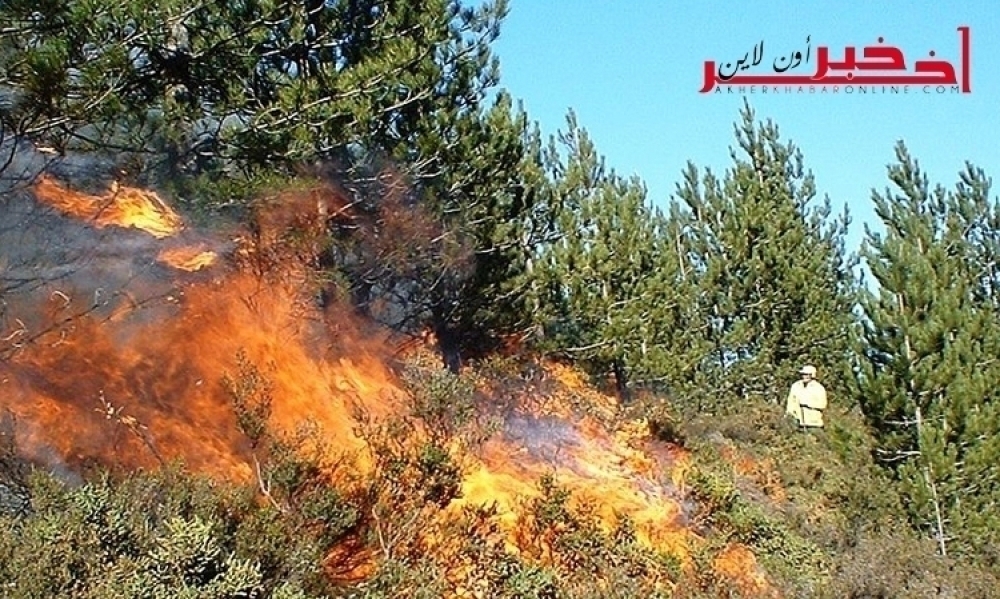 القيروان / أتى على 50 هكتارا من المساحات الغابية، تواصل محاولات إخماد حريق إندلع منذ 24 ساعة