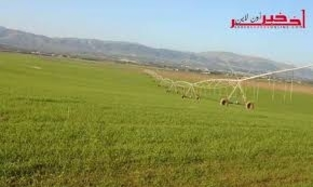 الدولة تسترجع ضيعة فلاحيّة دوليّة و أرضا مثمرة تمسحان 20 هكتارا في سليانة و الكاف