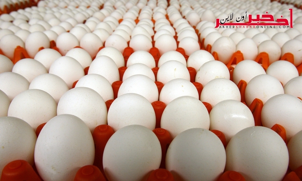 رئيس الجامعة التونسية لمنظومة الدواجن و الفلاحة : قريبا " حارة البيض" ستقفز إلى 1500 مليم 