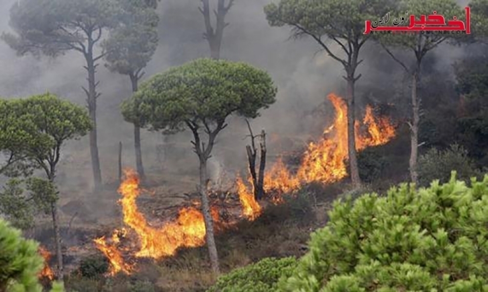 حرائق  سجنان تورّط فيها عُمال حضائر سابقون  و التحقيقات  شملت 40 شخصا ..التفاصيل