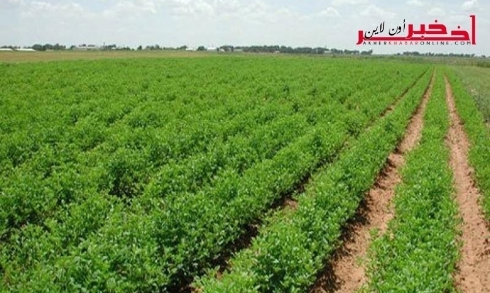 الدولة تسترجع ما يزيد عن 20 ألف هك من أراضيها المُستولى عليها وباجة في  المرتبة الأولى