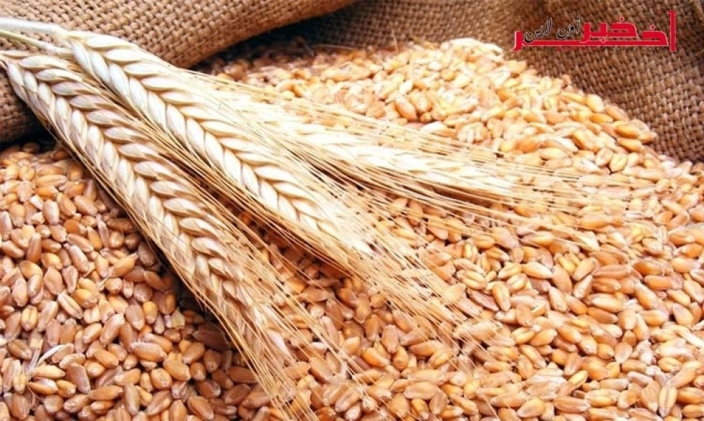 الديوان الوطني للحبوب يستورد ما قيمته 30 مليون دولار من الحبوب في مناقصة حظِيَت بها شركة إيطالية