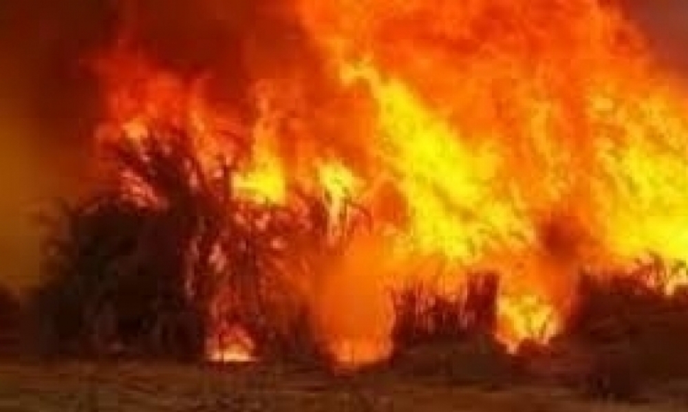 وحدات الحماية المدنية تسيطر على 91 حريقا خلال ال 24 ساعة الماضية