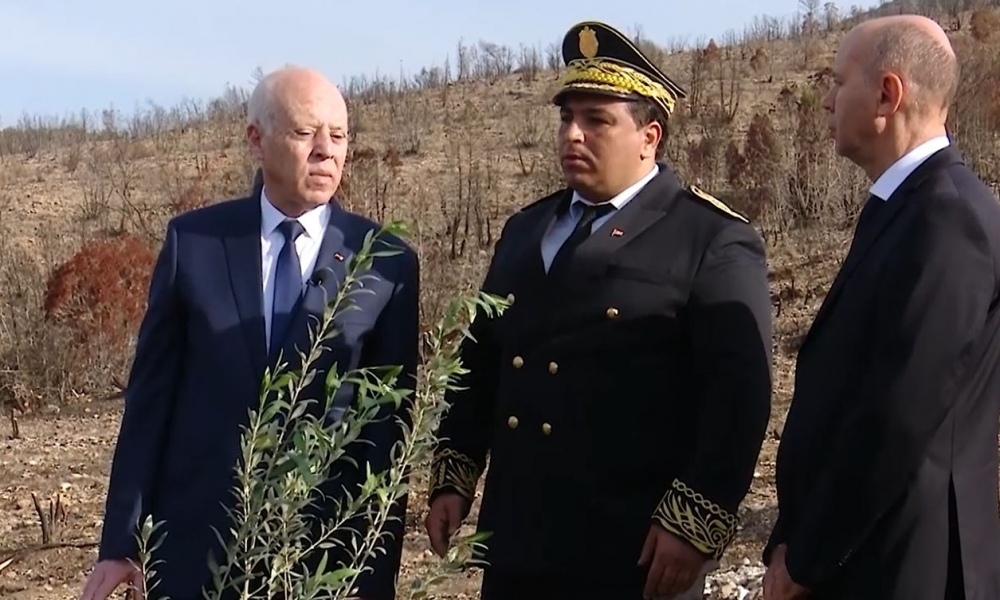 سعيد في عيد الشجرة: « ستظل الدولة قائمة رغم كل العقبات التي يضعونها لضربها »