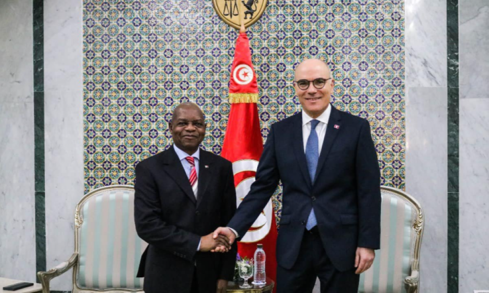 وزير الخارجية يستقبل سفير جنوب افريقيا إثر انتهاء مهامه بتونس