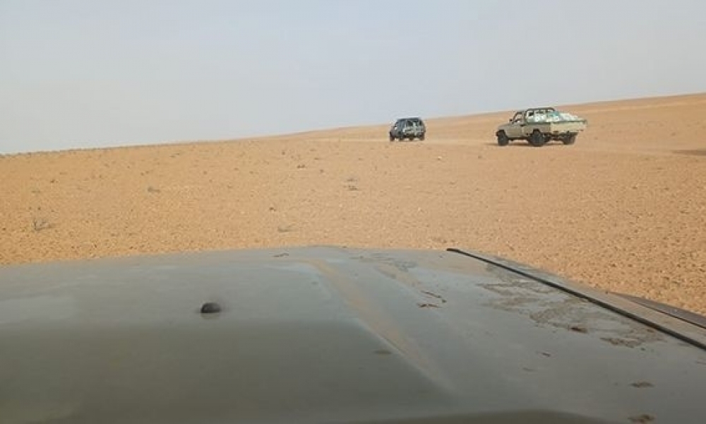 حجز كميات هامة من البضائع المهربة بقيمة جملية تفوق 784 ألف دينار