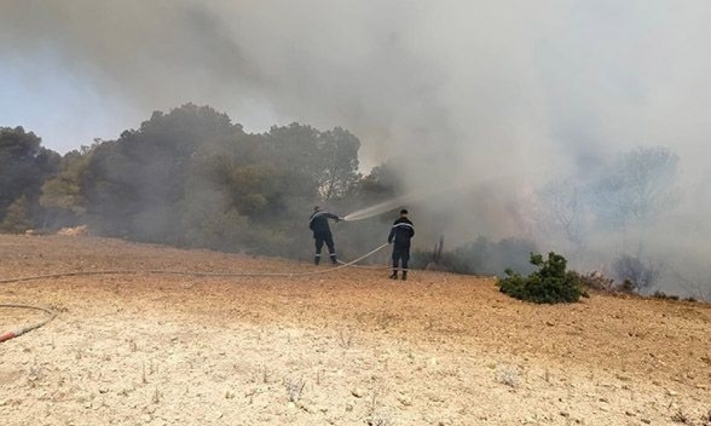 سليانة: إخماد حريق إندلع بغابة ببرقو