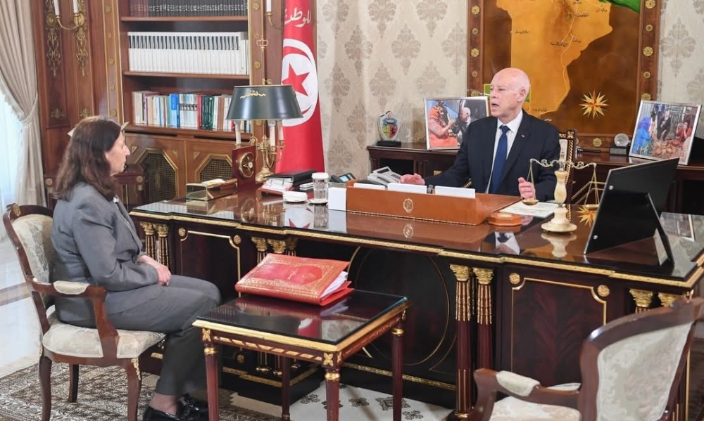 رئيس الجمهورية يؤكد على أنّ تونس في حاجة لا فقط إلى تشريعات جديدة بل في حاجة أيضا إلى من يتولّى القيام مخلصا على تنفيذها