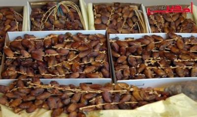  ايرادات صادرات التمور للموسم الحالي تناهز 207 مليون دينار