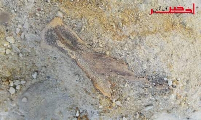 رئيس جمعية تنمية السياحة الواحية والصحراوية لـ"آخر خبر أونلاين" : إكتشاف أوّل موقع أثري في تونس لظهور الإنسان العاقل  يعود إلى 100 ألف سنة
