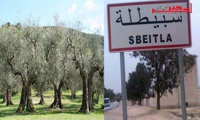 سبيطلة-الاعتداء على 150 شجرة لوز: والي القصرين يوضح