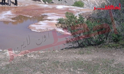 بالفيديو -سليانة  / عين  جبلية  تفوق  ملوحتها  10 مرات ملوحة البحر  و خبراء يتحدثون عن فوائدها الطبية 