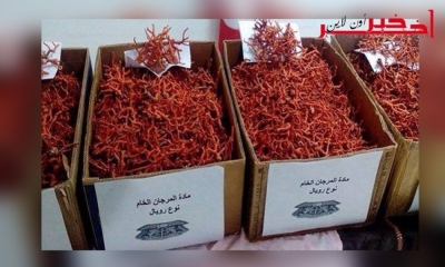 10 سنوات سجنا وخطية مالية بخمسة مليارات في حق شبكة تهريب المرجان من  طبرقة إلى إيطاليا