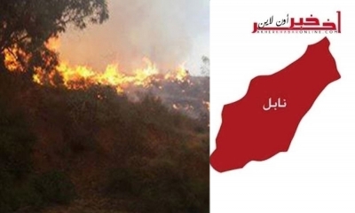نابل: النيران تتلف أكثر من 10 هكتارات من غراسات القوارص