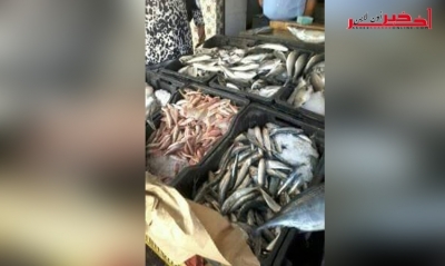 المنستير/ حجز أكثر من 80 كلغ من الأسماك غير صالحة للإستهلاك
