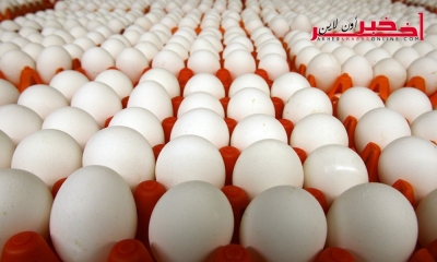 رئيس الجامعة التونسية لمنظومة الدواجن و الفلاحة : قريبا " حارة البيض" ستقفز إلى 1500 مليم 