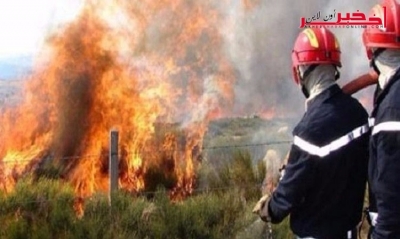 المدير الجهوي للحماية المدنية جندوبة : السيطرة على 90 بالمائة من الحرائق و تواصل إخماد حريق منطقة الوراهنية 