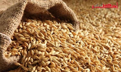   تونس تطرح مناقصة لشراء 50 ألف طن من علف الشعير