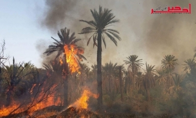 أتى إلى حدّ الآن على قرابة 200 نخلة، فرق الحماية تحاول السيطرة على حريق بواحة نفطة القديمة