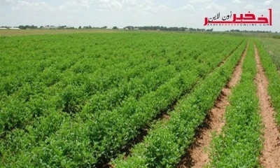 الدولة تسترجع ما يزيد عن 20 ألف هك من أراضيها المُستولى عليها وباجة في  المرتبة الأولى