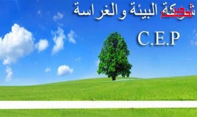 تنفيذًا لإتفاق إعتصام "الكامور" ، تسليم عقودٍ لـ1500 عاملٍ منتدب في شركة البيئة والغراسات