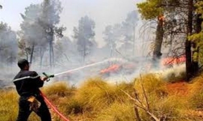 سليانة: السيطرة على حريق نشب بأرض زراعية في الكريب